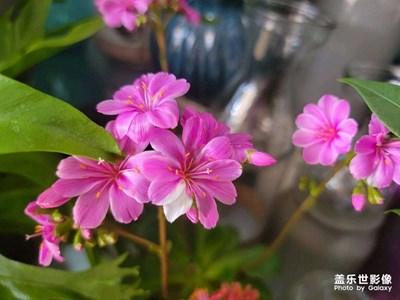 随手拍