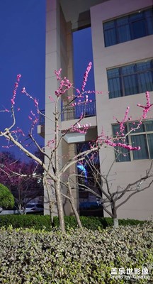 【人间四月】＋姗姗来迟