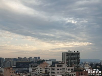 清明时节家家雨，青草池塘摘桑葚