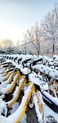 北京的雪
