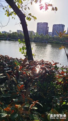 每日照片分享
