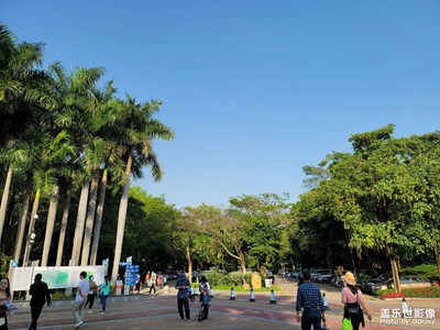 清明节假期，深圳沙河公园跑道随拍