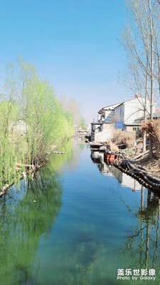淀边春色