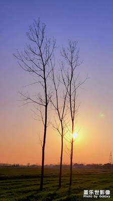 农村美景