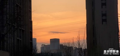 每日抓拍