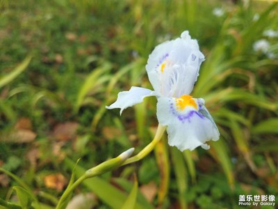 【春日幸事】+春暖花开