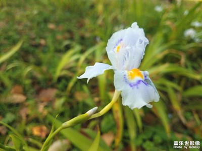 【春日幸事】+春暖花开