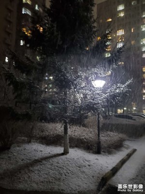 【夜城春】+早春的雪