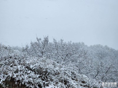 骤降大雪