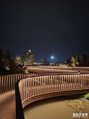【夜城春】+湿地公园