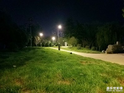 【夜城春】街边公园