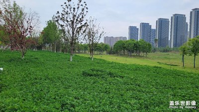 奥体中心半日游，景色很美