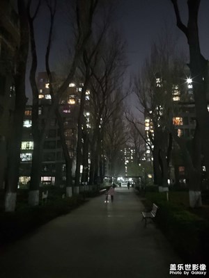 【夜城春】+小区散步