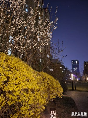 【夜春城】偶遇