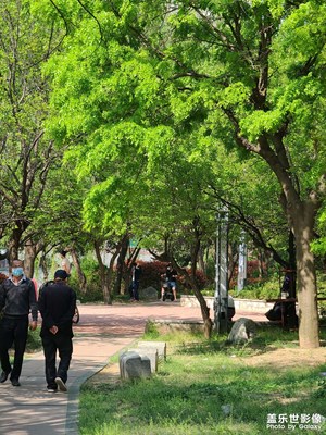 【四月物语】+街拍
