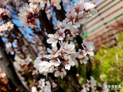 春暖花开