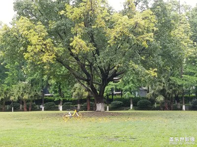 【四月物语】+公园烟雨