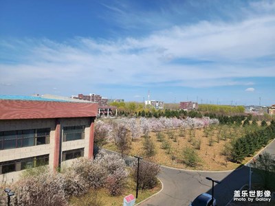 【四月物语】长春的初春
