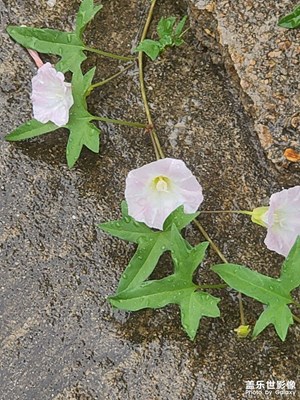 雨天拍摄