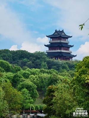 太爱这个3倍和10倍长焦了