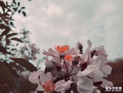 四月