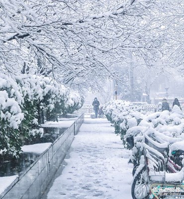 那场雪