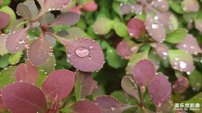 春雨