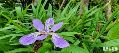 【我的五一】＋小区一日游