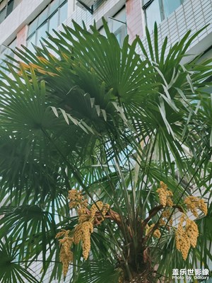 随便拍拍