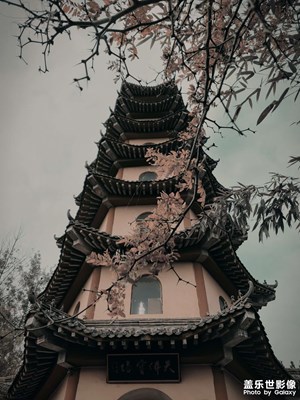 随手拍