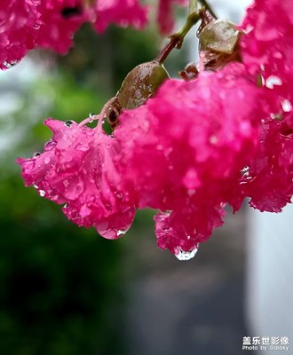 雨天适合拍摄