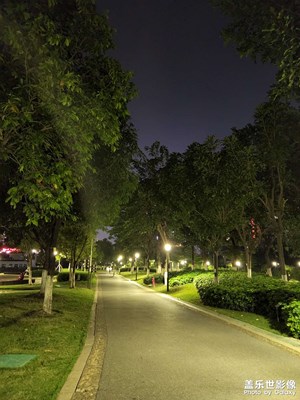 夜拍