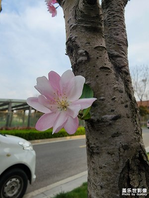 疫情过后天天晴空万里