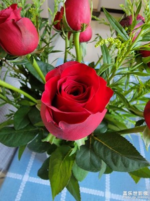 鲜花