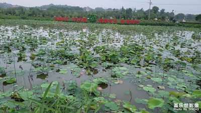 夏天的气息