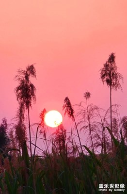 【你好夏天】+再见夕阳