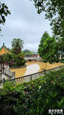 夏日风雨后