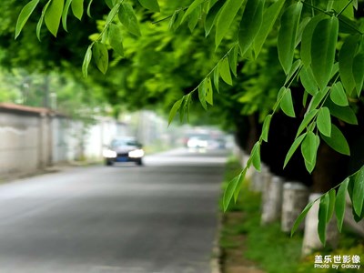 【碎片日常】晨路记忆