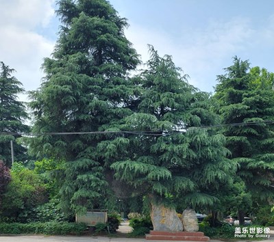 【城乡美景】乡村气息