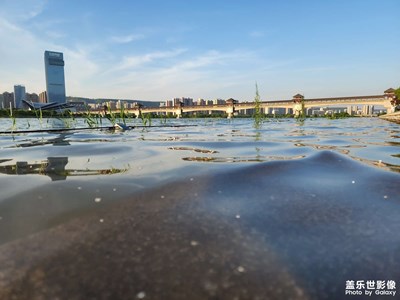 【当下好时光】+初夏的美景