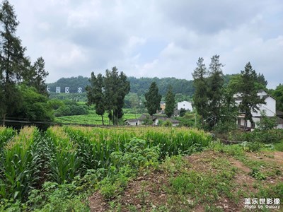 端午节回四川仪陇老家过节