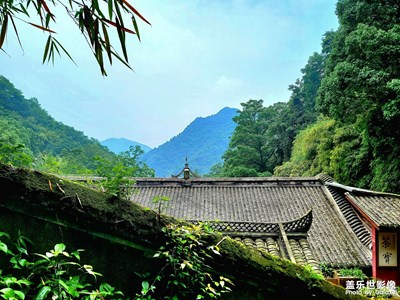 Note20u 端午随拍