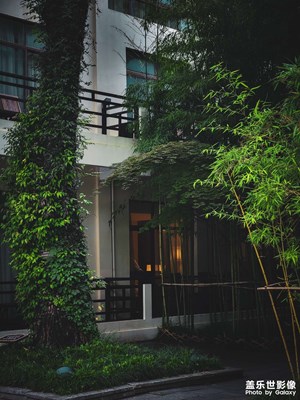 六月的普陀之行