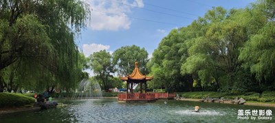 夏日公园