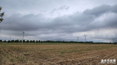 【多彩夏日】风雨欲来