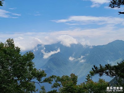 【我的夏天】庐山游记