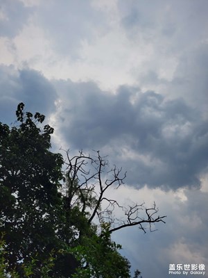 台风登陆