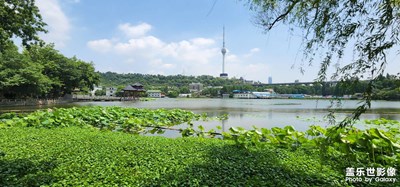 我的夏天 怒放的夏日