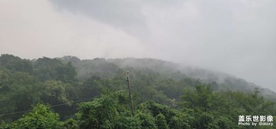 烟雨蒙蒙