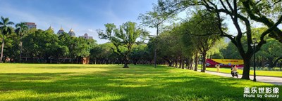 我的夏天